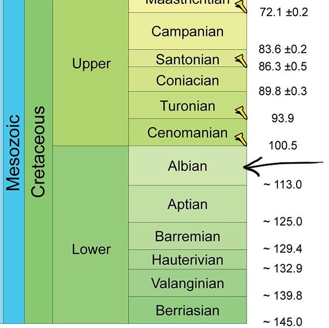 albian